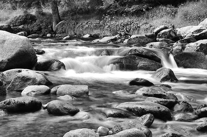 Natur im Bayerischen Wald beim Wandern genießen